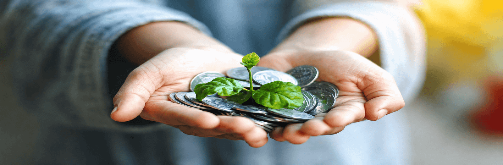 sustainability_richa_raj_technologies